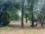 Terreno en San Eduardo Venta
