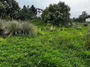 Terreno en San Miguel Xicalco