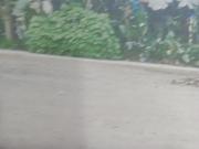 Terreno en SANTA MARIA