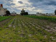 Terreno en Santiago Tianguistenco de Galeana