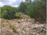 Terreno en Senderos IV