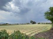 Terreno en Tacícuaro: 11,500 m²