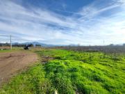 Terreno en Talagante