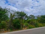 Terreno en Temoz?n Norte