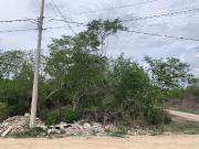 Terreno en Temoz?n Norte