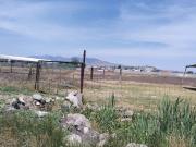 TERRENO EN TEOLOYUCAN 10000m2