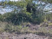 Terreno en Terreno en venta en El Chico municipio de...