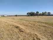 Terreno en Tizayuca, Hidalgo. Sup. 15,000 m2