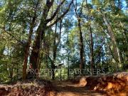 Terreno en Valdivia