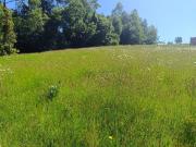 Terreno en Valdivia
