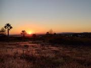 TERRENO EN VENTA FRACC. VALLE DE LOS REYES