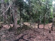 Terreno en Vebra en ruta de los cenotes