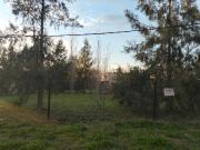 Terreno en vena en El Rincon