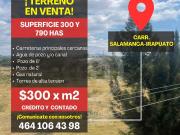 TERRENO EN VENTA 1000 HAS, CARRETERA SALAMANCA IRAPUATO