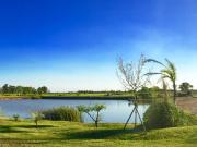 Terreno en venta 1000 mts2 Campos de La Enriqueta