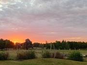 Terreno en Venta, 1000m2, en Fincas Exclusivas El Campo,...