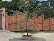 Terreno en Venta, 10,000m2 Fincas Sayavedra Cod. VTE787