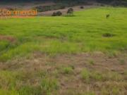 Terreno en venta 10 hectáreas vía a la costa ideal...