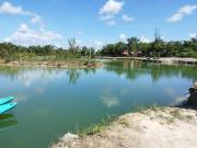 TERRENO EN VENTA 1100M2 EN AKUMAL PLAYA DEL CARMEN CON...
