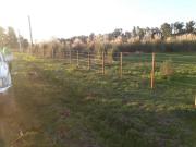 Terreno en venta 1250mts2 Villa Elvira, La Plata