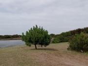 Terreno en venta 1.000Mts2 Punta Médanos