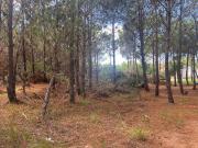 Terreno en venta 1.089mts2 Marítimo IV Costa Esmeralda