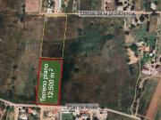 Terreno en Venta – 1.25 Hectáreas hacia Santa Ana del...