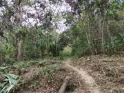 El Hatillo La Unión terreno en venta 20hect $287.000 Lrh...