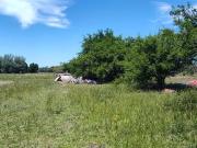 Terreno en venta 30.000Mts2 Estancia Benqueria, Monte