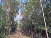 TERRENO EN VENTA 320M2 ENTREGA INMEDIATA EN PLAYA DEL CARMEN