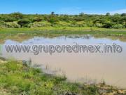 Terreno en venta 4250m2T a 15 min de Preserve Juriquilla Qro