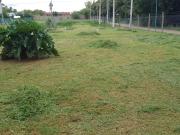 Terreno en venta 461Mts2 Barrio Jardín, Villa Elisa, La...