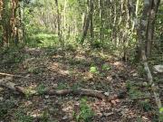 Terreno en Venta, 4 Ha sin construcciones, Valladolid...