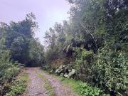 Terreno en Venta 5000M2 – Parcelación Santuario de...