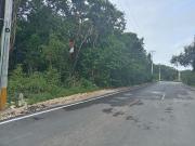 TERRENO EN VENTA 500 M2, BARDEADO, USO DE SUELO...