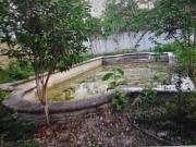 TERRENO EN VENTA 500 M2, BARDEADO, USO DE SUELO...