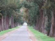 Terreno en venta 595Mts2 Abasto, La Plata