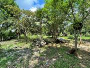 TERRENO EN VENTA 5 HAS LEONA VICARIO PADRON