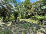 TERRENO EN VENTA 5 HAS LEONA VICARIO PADRON