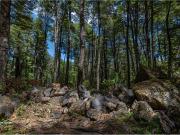 Terreno en venta 69 parcelas con ROL Curarrehue