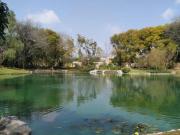 TERRENO EN VENTA $6,000.00 POR m2. 1889.89 m2. EXCLUSIVO...