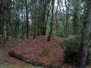 Terreno en venta 735mts2 Aguas Verdes