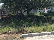 Terreno en venta