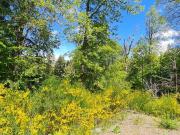 Terreno en venta 836Mts2 San Martín de los Andes