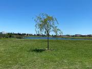 Terreno en venta 851mts2 El Naudir, Escobar