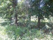 TERRENO EN VENTA 8,700 M2 A UNAS CUADRAS DE PLAYA BOCA...