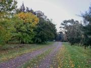 Terreno en venta 900Mts2 Abasto, La Plata