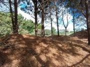 Terreno en venta 950mts2 Marítimo III, Costa Esmeralda