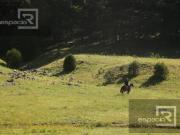 TERRENO EN VENTA A 10KM DE CREEL IDEAL PARA INVERSIÓN...