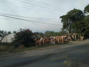 Terreno en venta a borde de la Carr. Chiconcuac Zapata,...